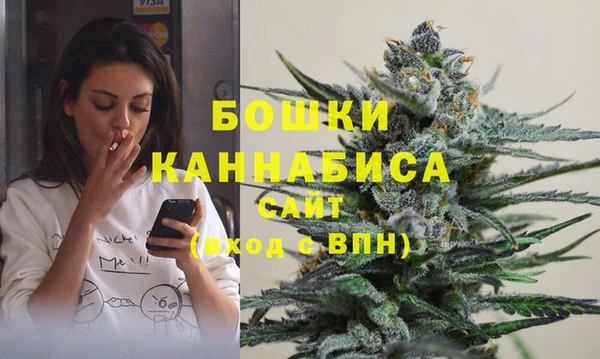 молекула духа Киренск