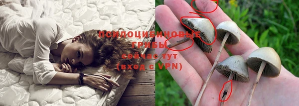 амф Кинешма
